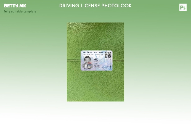 модерен стил Чиле Dl psd photolook ПРЕДЕН шаблон